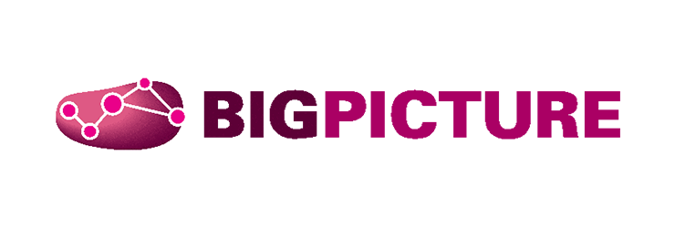 bigpicture-logo