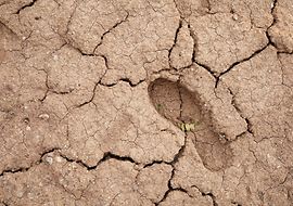 Ein Fußabdruck in getrocknetem Schlamm