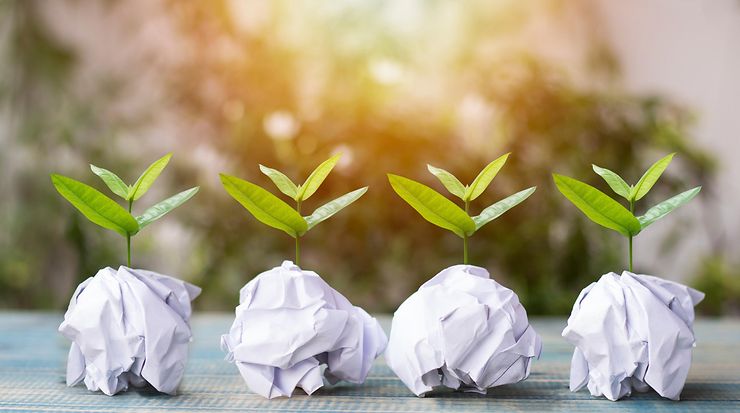 Vier kleine Pflanzen wachsen aus zerknülltem Papier vor unscharfem Hintergrund mit Sonnenstrahlen