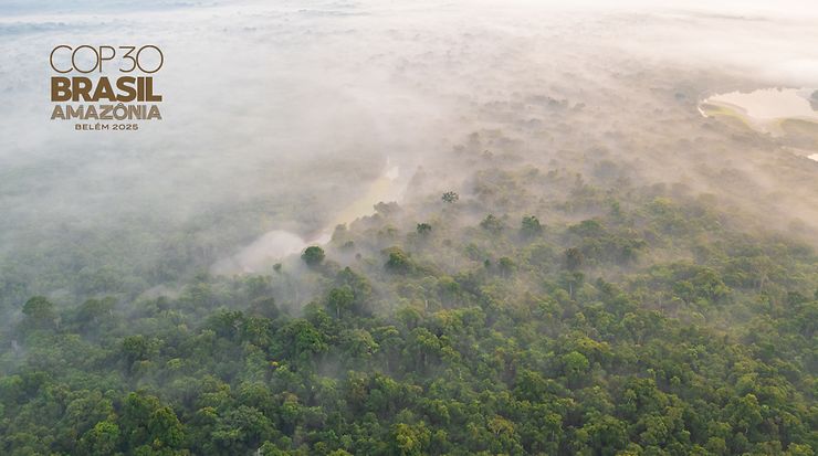 Amazonas Regenwald mit Nebel zwischen den Baumen – von oben fotografiert