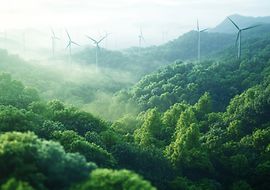 Blick auf einen Wald mit Windrädern