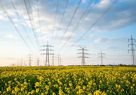 Hochspannungsleitungen und Freileitungsmasten für elektrische Energie auf Feldern