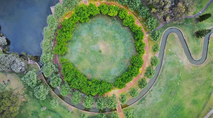 Vogelperspektive auf einen Park mit Wiesen und Bäumen die in einem Kreis stehen