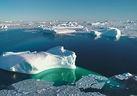 Eisscholle im arktischen Meer