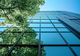 Spiegelnde Glasfassade eines Gebäudes mit Baum und Himmel im Reflexion.