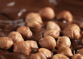 Allergene von Haselnuss und Erdnuss