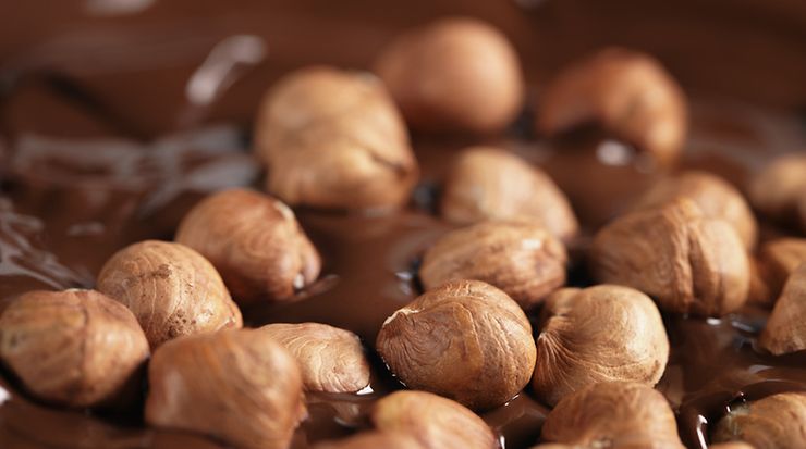 Allergene von Haselnuss und Erdnuss