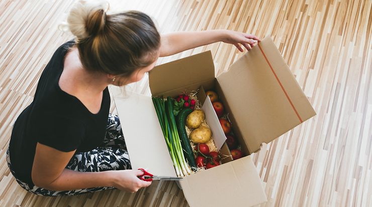 Lieferung von Lebensmittel über den Onlinehandel