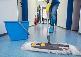 AdobeStock_317206642