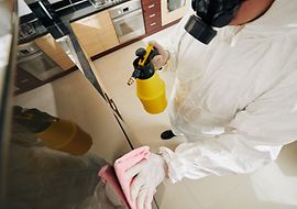 Lebensmittelhygiene - Reinigung und Desinfektion