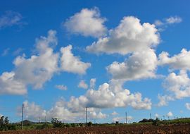 soil-mechanics-1722191_1280 soil-mechanics-1722191_1280